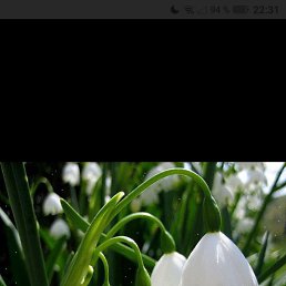 ���� ����, ���������, 57 ��� - ��������� 5 ������ 2026