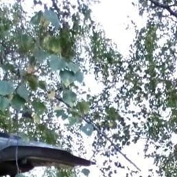 �������, ���������, 44 ����