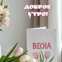 ���� ����, �����-��������� - ��������� 2 ����� 2026 � ������ ������ ��������