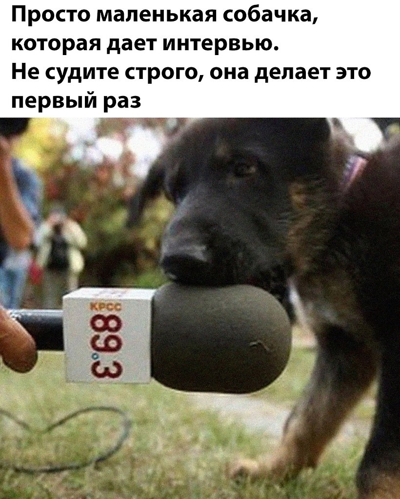    - 13  2025  12:27