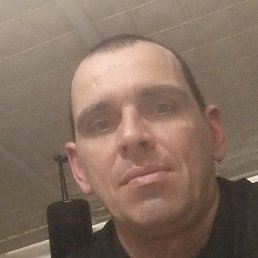 ����, ������, 50 ���