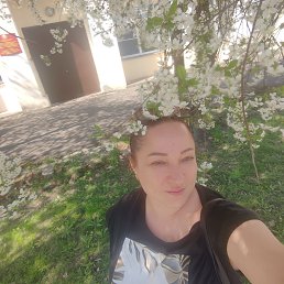 , 42, 