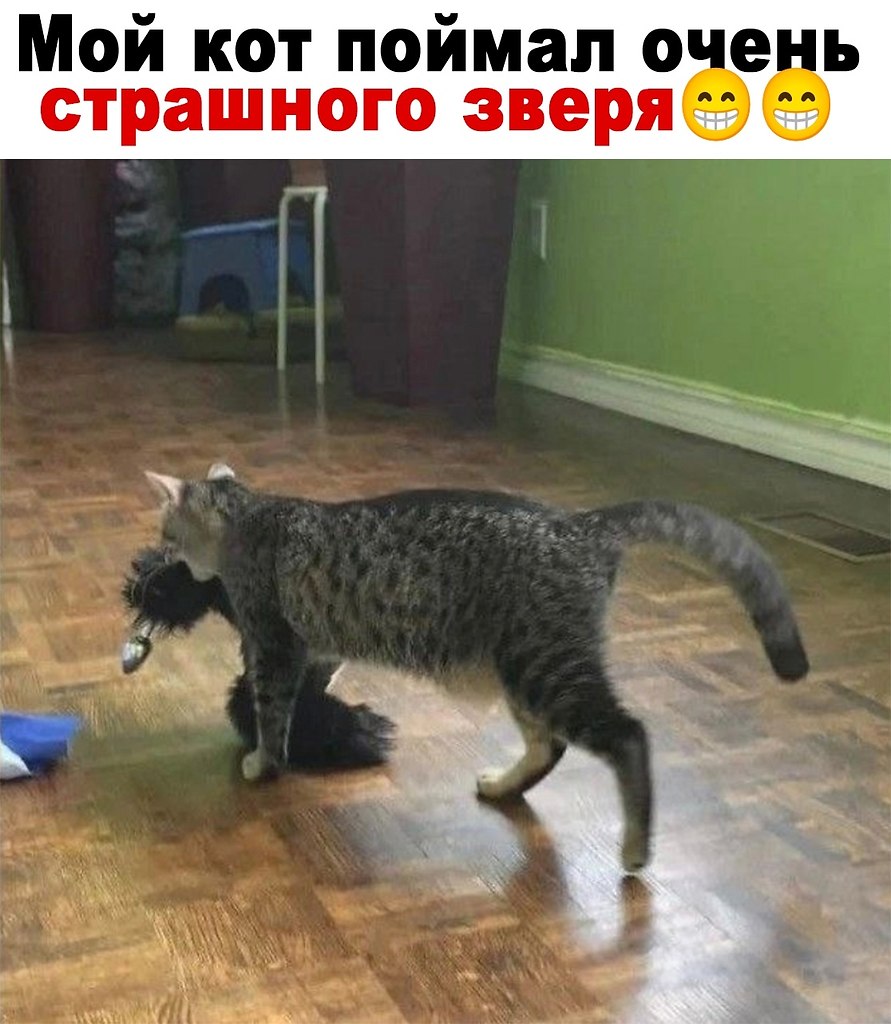  - 6  2024  03:50