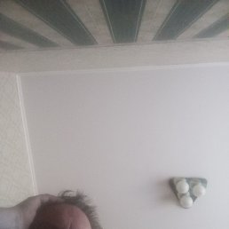 ����, �����������, 49 ���