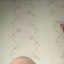 ���� ����, ������, 49 ��� - ��������� 12 ������� 2025 � ������ ���� ����������