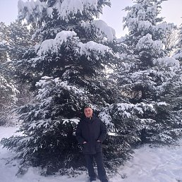 ��������, ������, 63 ����