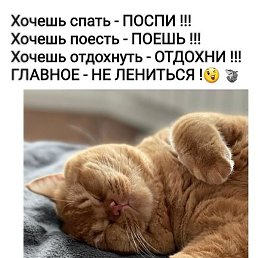 ����, �������, 54 ����