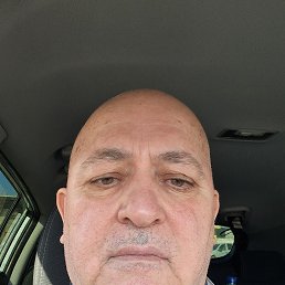 ����, 65 ���, ������