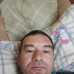 , 42, 