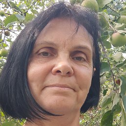 �������, �������, 56 ���