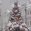 ���� ������ ����, ������, 49 ��� - ��������� 10 ������ 2026 � ������ ������ ��������