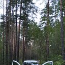 ���� Venera, ������ - ��������� 30 ���� 2024 � ������ ������ ��������