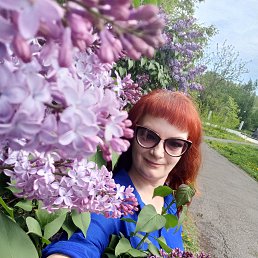 ���� ������, ��������, 46 ��� - ��������� 12 ��� 2026