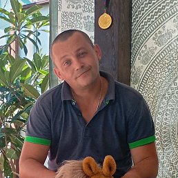 �����, �����������, 38 ���