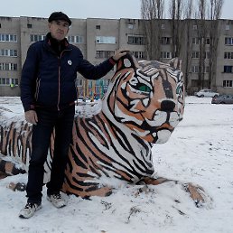 ���� ���������, �����������, 56 ��� - ��������� 13 ������� 2024