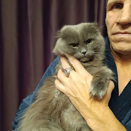 �������, 55 ���, ������