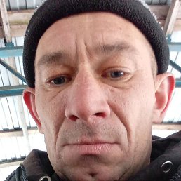 �������, �����, 42 ����