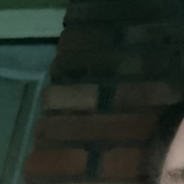 ����, ����, 39 ���