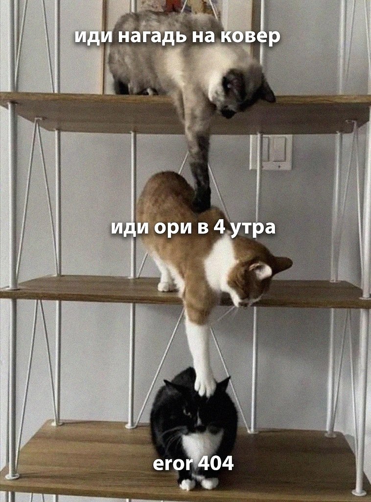 ��� �������� �������� - 11 ������� 2026 � 08:36