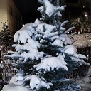 ���� �� � ���, ���-���, 54 ���� - ��������� 18 ������ 2025 � ������ ���� ����������
