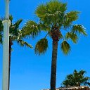 ���� �����, ��������� - ��������� 28 ������� 2025 � ������ �Trkiy� (Antalya Province The Ancient City of Side)�