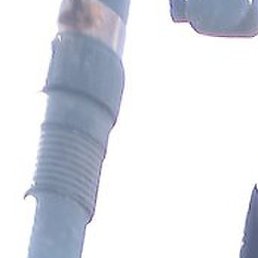 �������, �����, 49 ���