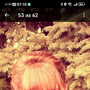 �������, 49 ���, �������