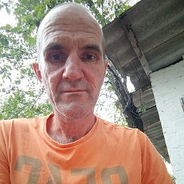 �����, 48 ���, ���������