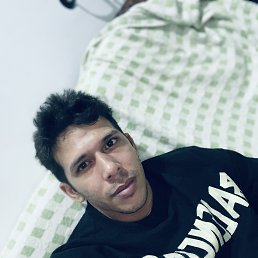 , 26, 