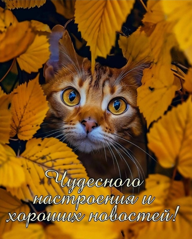  - 7  2025  14:18