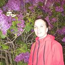 ���� �����, ������� ��������, 50 ��� - ��������� 20 ��� 2025 � ������ ���� ����������