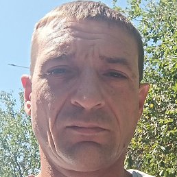 �������, ������������, 41 ���