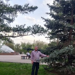 ����, ����, 52 ����