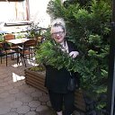 ���� ������, ������� - ��������� 8 ������ 2026