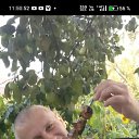 ���� �������� �, ���������, 50 ��� - ��������� 3 ������� 2025 � ������ ���� ����������