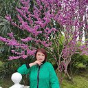 ���� �����, ������, 63 ���� - ��������� 15 ������ 2024 � ������ ���� ����������