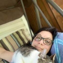 �����, �����-���������, 49 ���