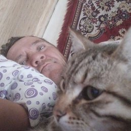 �������, ������, 52 ����