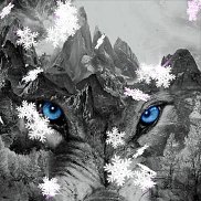 �������, 63 ����, ������