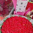 ���� Yusufbek, �������, 34 ���� - ��������� 27 ������� 2023 � ������ ���� ����������