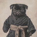 ���� �����, �����-��������� - ��������� 14 ������ 2025 � ������ ������ ��������