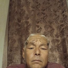 , 48, 