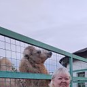 ���� �������, �������, 67 ��� - ��������� 17 ������ 2023