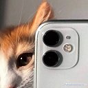 ���� �����, ��������, 29 ��� - ��������� 15 ������ 2024 � ������ ���� ����������