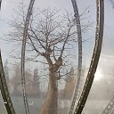 ���� �������, ������-��-���� - ��������� 25 ������ 2025 � ������ ���� ����������