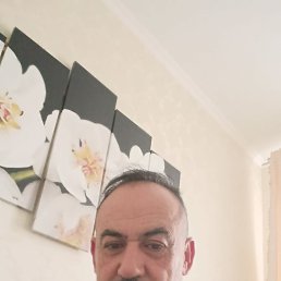 Ali, 48 ���, ��������