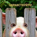 ���� ��������, ����������, 61 ��� - ��������� 25 ������� 2025