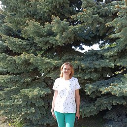 ������, ���������, 45 ���