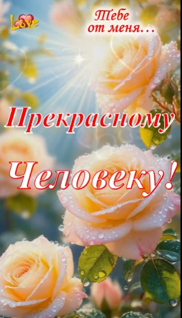 ������ - 16 ���� 2026 � 13:06 - 3