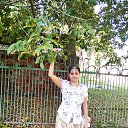 ���� ����, ������, 43 ���� - ��������� 29 �������� 2024 � ������ ���� ����������